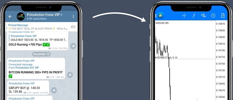 Forex signal copier
