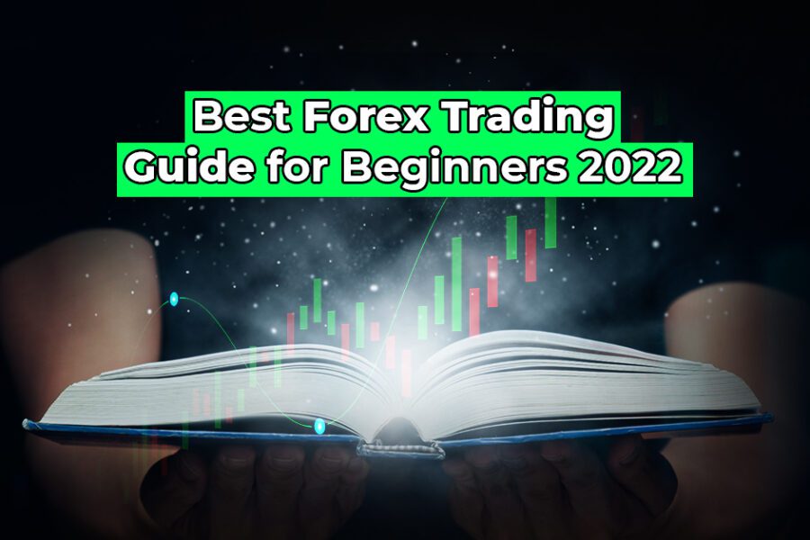 Top 5 Forex Trading Guide for Beginners 2022