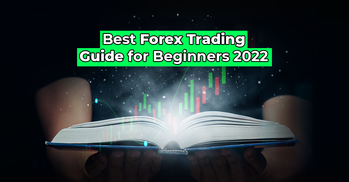 Top 5 Forex Trading Guide for Beginners 2022